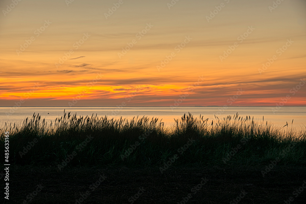 silhouett of dune grass against the sea and the rising sun silhouett of dune grass against the sea and the rising sun