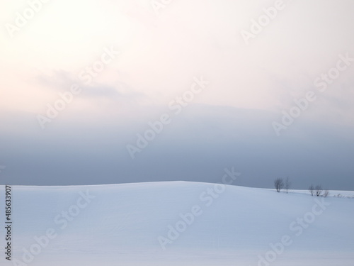 snowy winter field in Biei, Hokkaido