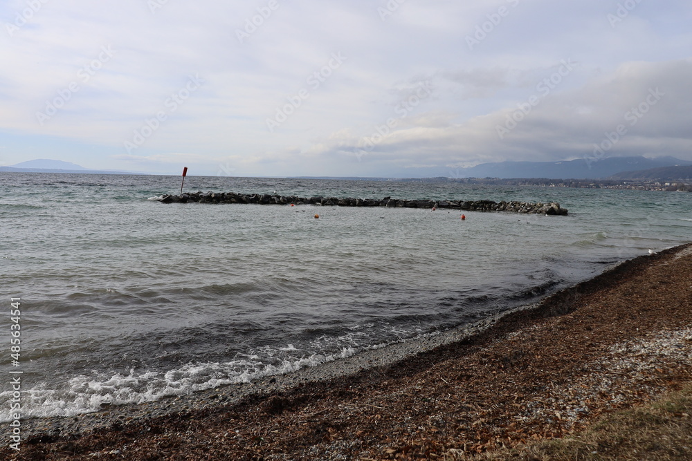 Le lac Léman vu depuis la plage de Allaman, commune de Allaman, canton de Vaud, Suisse