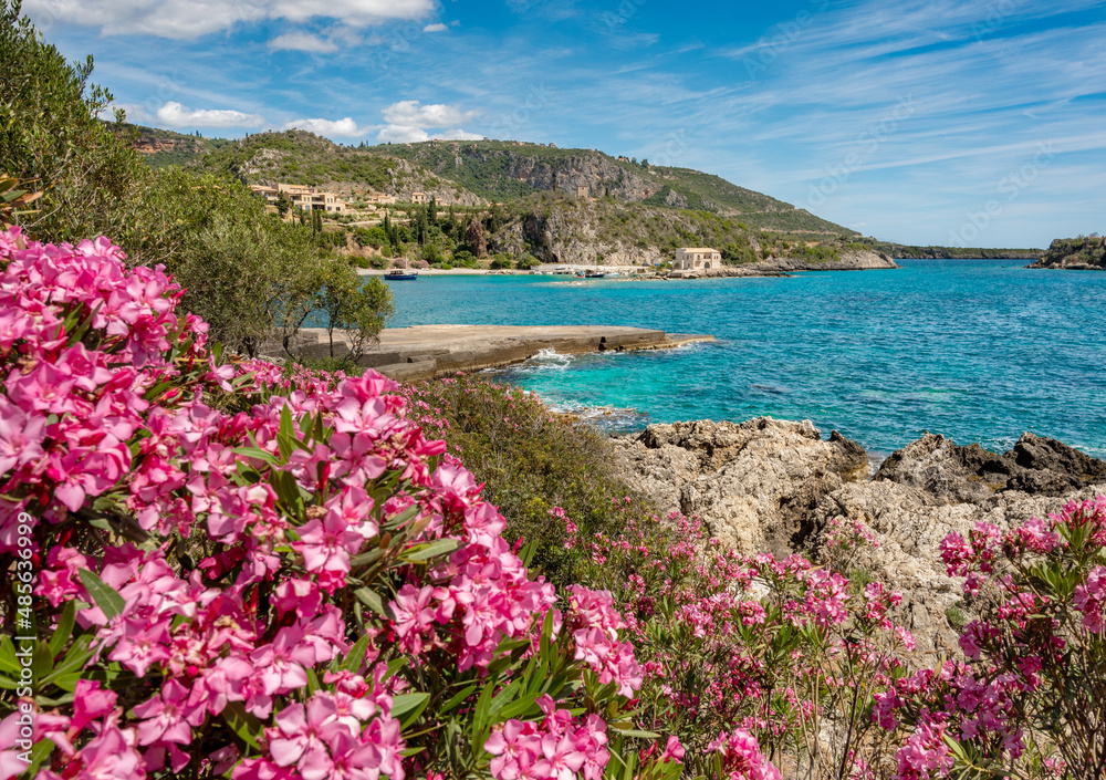 View of Kardamili coastline with flowers in foreground - Kardamili, Mani, Peloponnese, Greece
