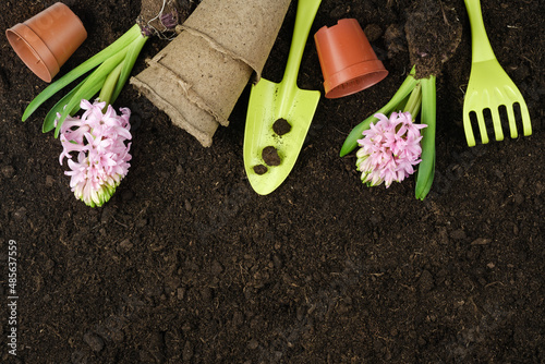 Garden tools, hyacinth flowers, peat pots on the background of the soil. Spring garden concept. Place for text.