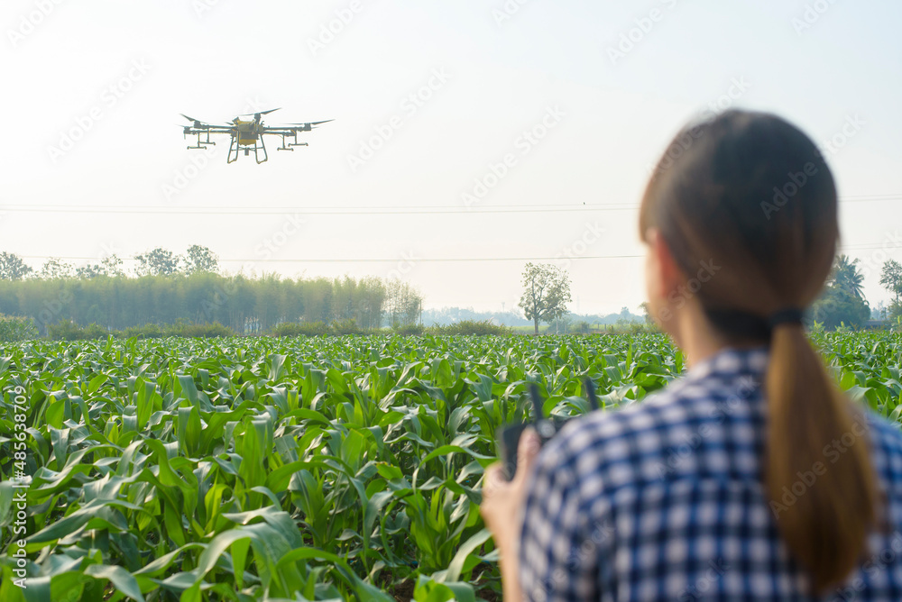Young smart farmer controlling drone spraying fertilizer and pesticide over farmland,High technology innovations and smart farming - obrazy, fototapety, plakaty 