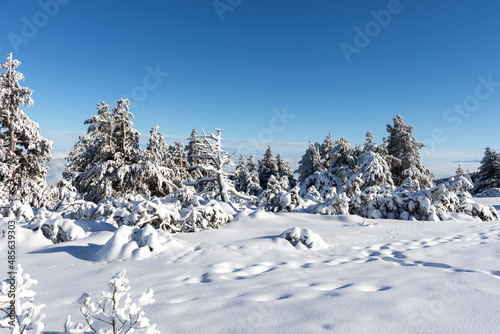 Aerial Winter view of Vitosha Mountain, Bulgaria © hdesislava