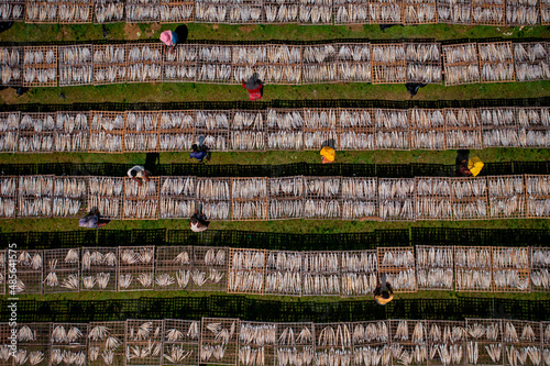 Aerial view of persons working in a fish farm, placing fishes on a long tray for drying, Chittagong, Bangladesh. photo