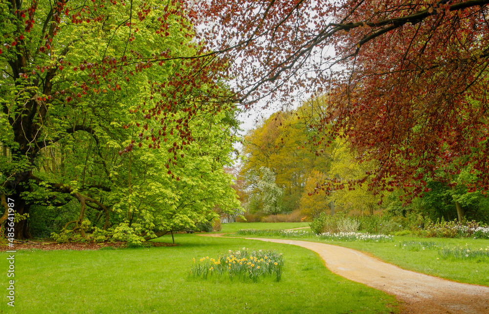 Hermoso camino para ir de paseo, Parque del Castillo de Gaasbeek en Lennik, Bélgica. Un lugar donde destaca la belleza natural de sus jardines, que invitan a la calma y la tranquilidad.