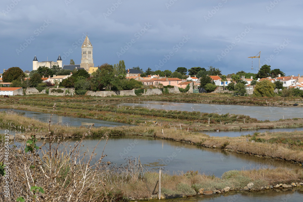 Les Marais de Müllembourg - Île de Noirmoutier