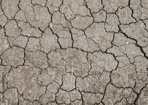 Dry soil background.