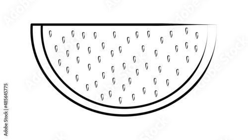 watermelon with seeds on a white background, vector illustration. appetizing berry, slice of watermelon in black and white style. illustration with food