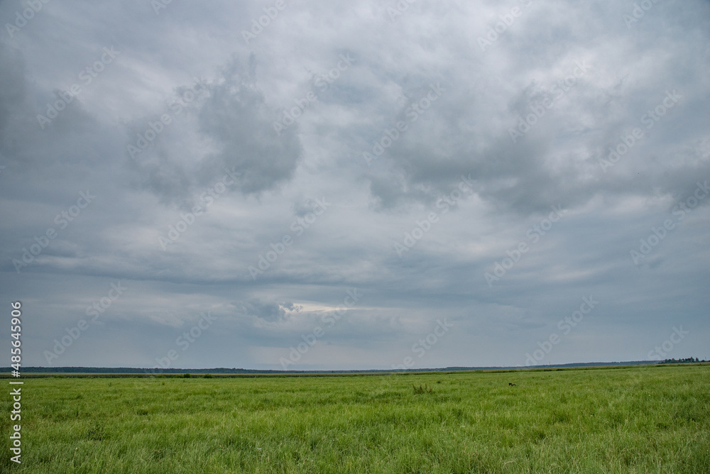 Beautiful clouds in the european summer sky.