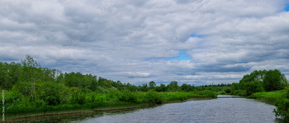 Spring background with a beautiful landscape on the river, nature in summer Spring background with a beautiful landscape on the river, nature in summer