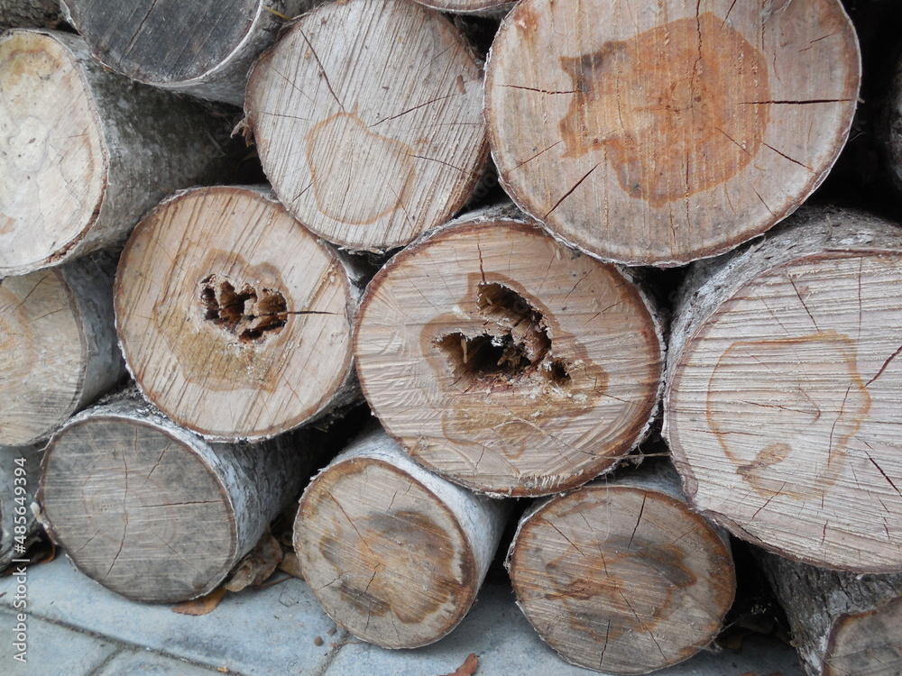 Pieces of tree trunks (birch) are stacked in a woodpile for chopping wood for the fireplace. The cores of wood affected by rot and pests are visible. Pieces of tree trunks (birch) are stacked in a woodpile for chopping wood for the fireplace. The cores of wood affected by rot and pests are visible.