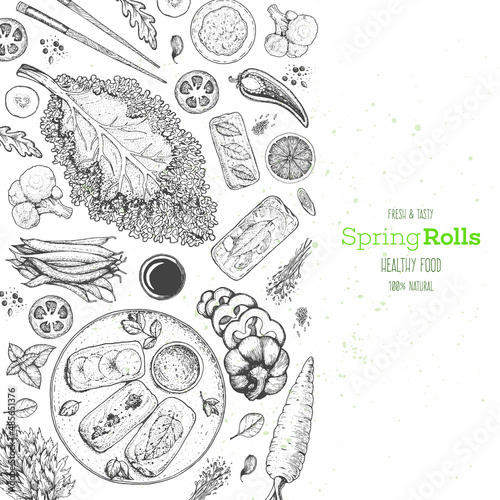 Asian food menu design template. Spring rolls and ingredients for spring rolls vector illustration. Vietnamese food top view frame. Vintage hand drawn sketch vector illustration. Engraved image.