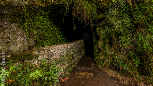Madeira - Queimadas – Levada do Caldeirao Verde photo