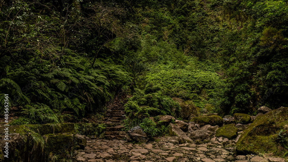 Madeira - Queimadas – Levada do Caldeirao Verde