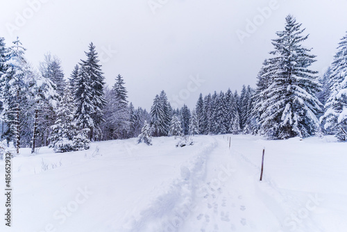 Winterlandschaft in Bayern