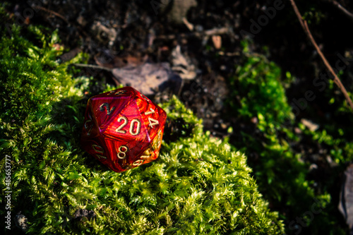 Close-up of a red d20 on moss in the sunlight