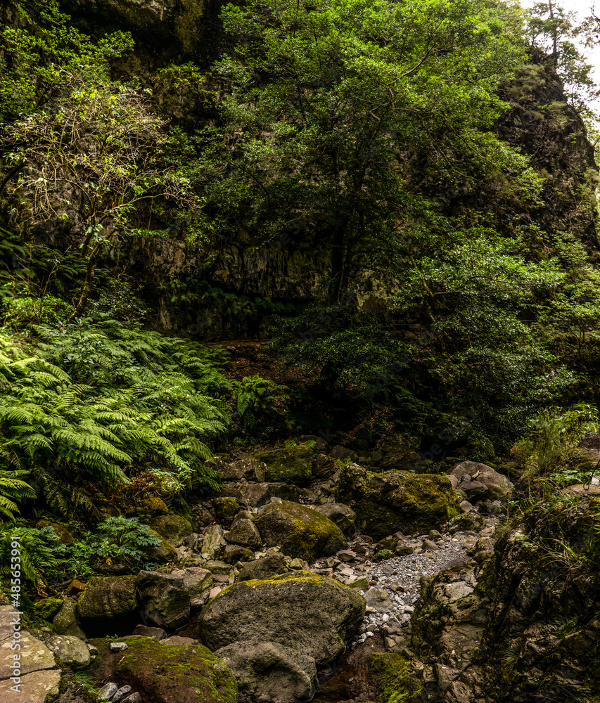 Madeira - Queimadas – Levada do Caldeirao Verde Madeira - Queimadas – Levada do Caldeirao Verde