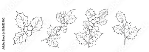 Set of different branches of mistletoe flowers, seamless pattern and circle frame on white background. photo