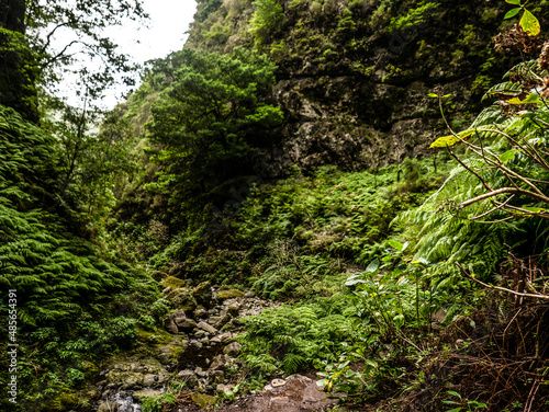 Madeira - Queimadas – Levada do Caldeirao Verde