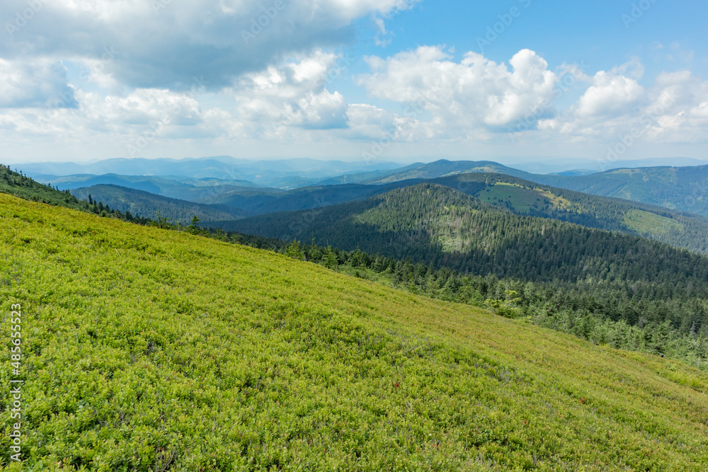 Beautiful view with peak of mountain.