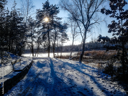 winter in the forest, Senecky rybnik, Plzen