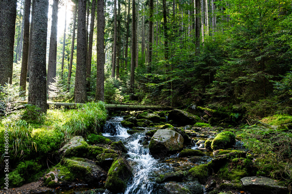 waterfall in the forest Bily potok, Sumava waterfall in the forest Bily potok, Sumava