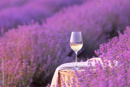 Glass of white wine in a lavender field. Violet flowers on the background. photo