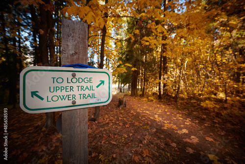 Fall trail Autumn