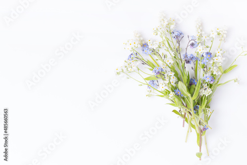 White and blue forget-me-nots, delicate bouquet of wildflowers on white.