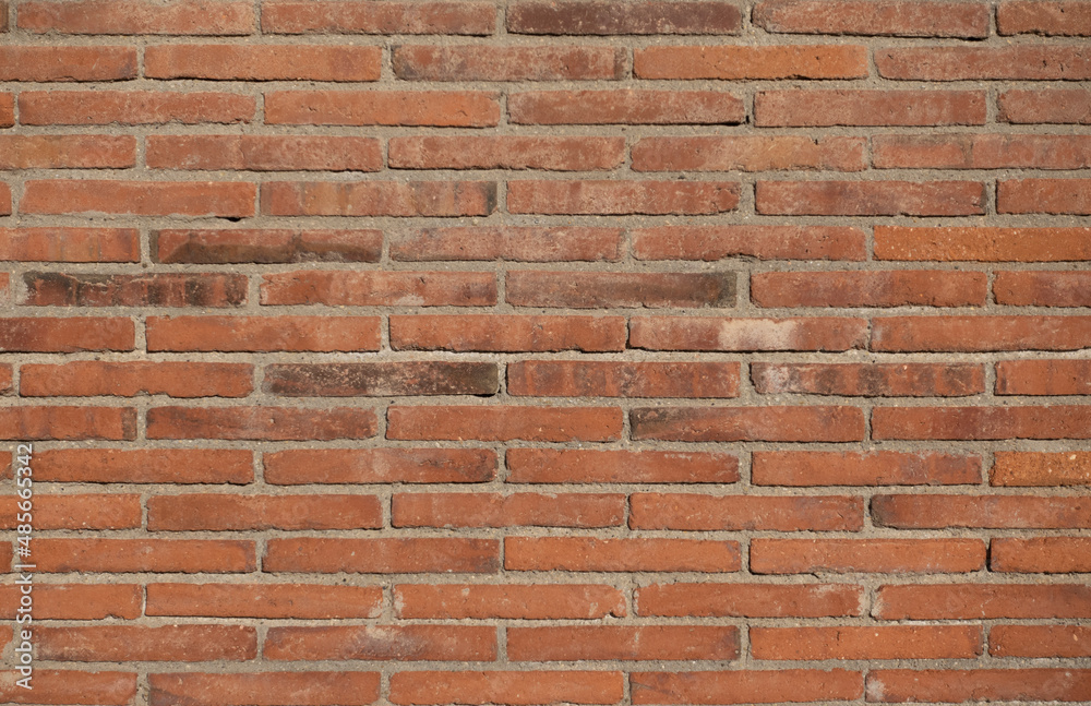 Fototapeta premium Pared de obra vista