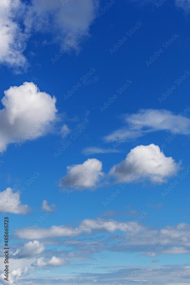 blue sky with white cumulus clouds of various sizes as a natural background blue sky with white cumulus clouds of various sizes as a natural background