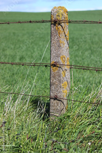 Wallpaper Mural Stone fence post in Scotland Torontodigital.ca