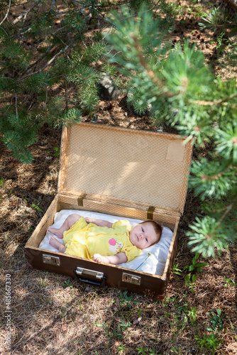 Newborn infant baby is in old suitcase under tree in summer forest