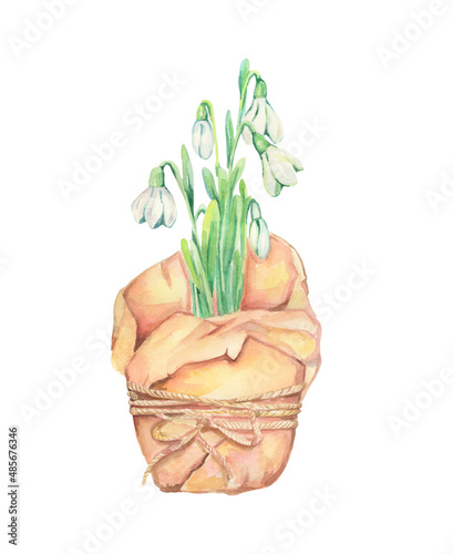 Watercolor snowdrops. Watercolor spring flowers of snowdrops. Hand painted botanical illustration. Gentle white bouquet of snowdrops. Spring time. Design for cards  gifts  greetings. Love and romantic