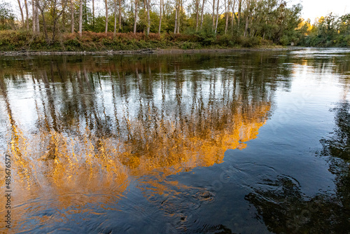 Fototapeta Naklejka Na Ścianę i Meble -  Feuilles et reflets dans la Garonne en automne