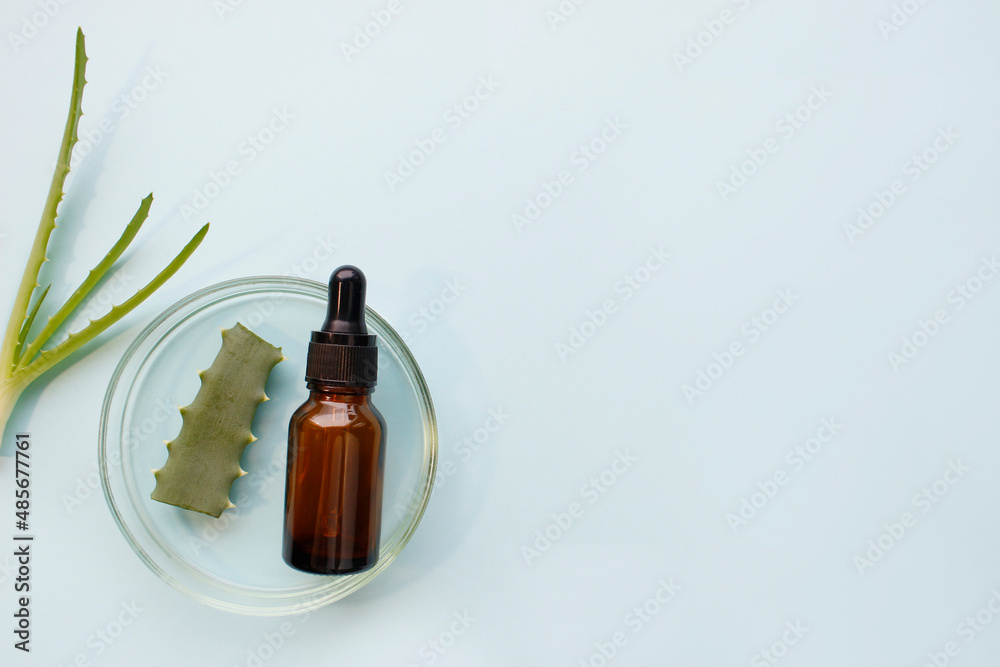 Flat lay of cosmetics serum and and laboratory glassware with fresh leaves of aloe vera on bright green background. Organic cosmetics. Top view flat lay, copy space. Cosmetics, SPA branding, mock-up.