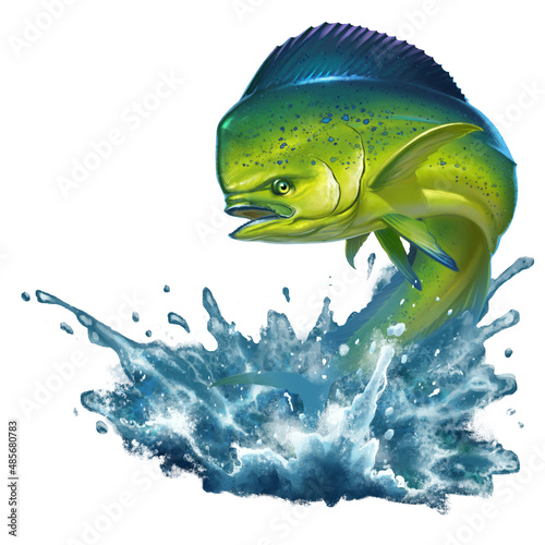 Mahi mahi or dolphin jumping out of the water illustration isolate realism. Fish jumps out of the water.
