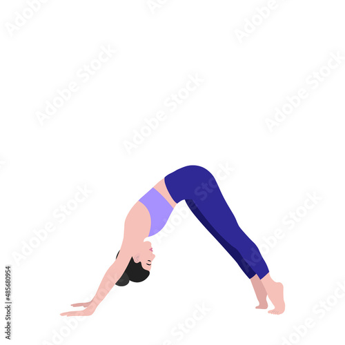 A girl in one of the yoga poses, isolate on a white background, flat vector, dog asana