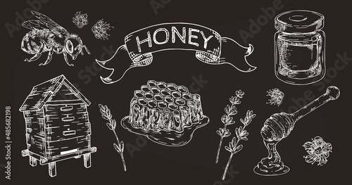 Honey  hand drawn set with honeycombs, bee, jar hive and flowers on chalkboard. Isolated vector.