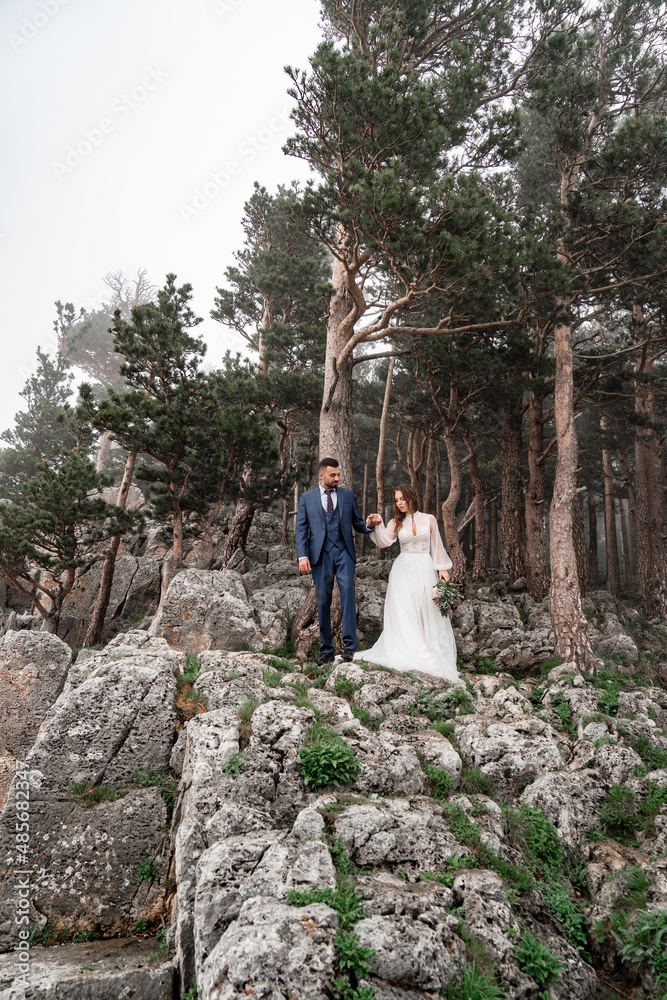 a beautiful newlyweds on a rock in a mountain forest. honeymoon. a beautiful newlyweds on a rock in a mountain forest. honeymoon.