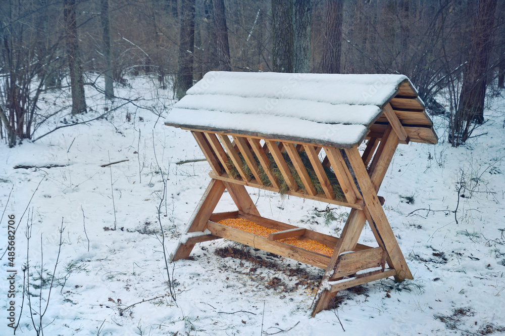 Wooden feed rack with forage for deer in winter forest.