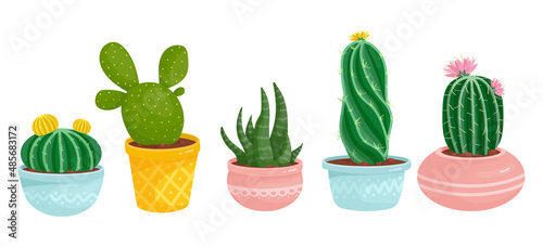 A set of cacti, succulents in ceramic flowerpots.
Cartoon vector graphics.