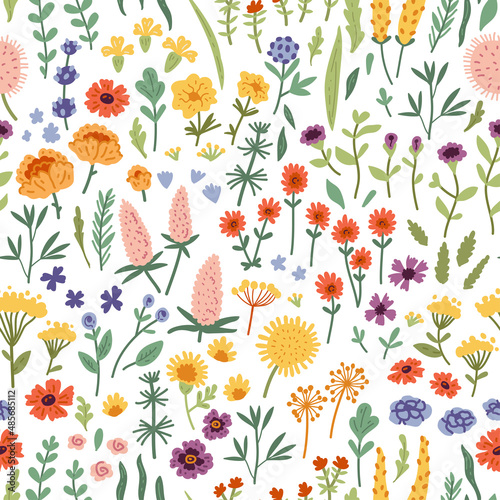 Vector seamless pattern with hand drawn wild plants, herbs and flowers, colorful botanical illustration, floral elements, hand drawn repeating background. Wild meadow herbs, flowering flowers © Pictulandra