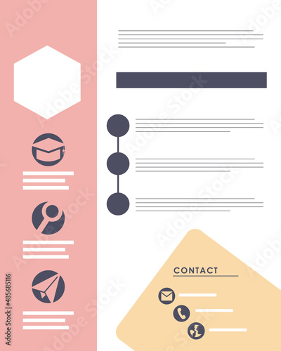 curriculum vitae pink template