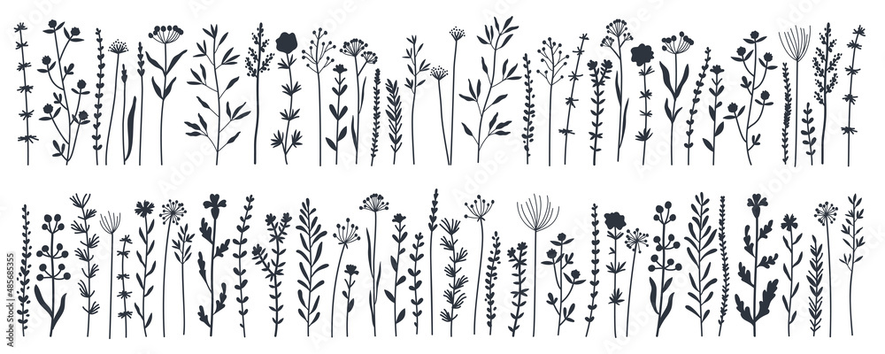 Black silhouettes garden and wild foliage, flowers, branches vector illustration. Wildflowers, herbs. Creative vector floral elements for postcard decoration packaging. Wild meadow herbs, flowers
