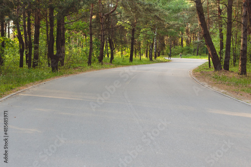 Road in the forest, park, bicycle and pedestrian route with asphalt