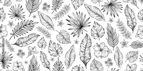 Palm leaf pattern. Seamless vector background. Black and white sketch texture plants. Line floral art. Tropical foliage print design. Palm tree wallpaper pattern, exotic tropic outline flower vintage