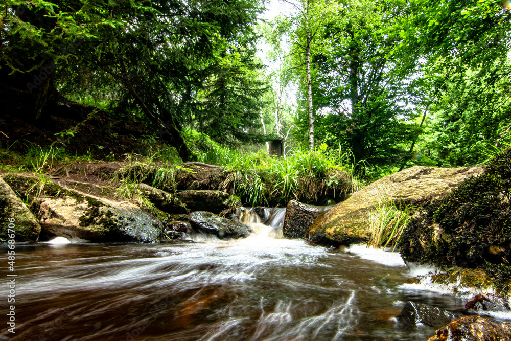 Naklejka premium Natur