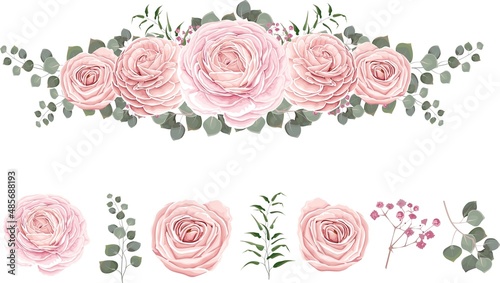 Floral vector border. Pink roses, eucalyptus, pink gypsophila, green plants and leaves. All elements are isolated on white background