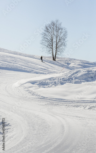 Fototapeta Naklejka Na Ścianę i Meble -  landscape with snow and skier